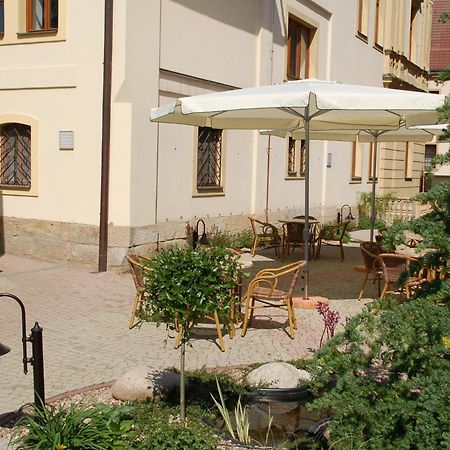 Penzion Cerny Kun Hradec Kralove Exterior photo