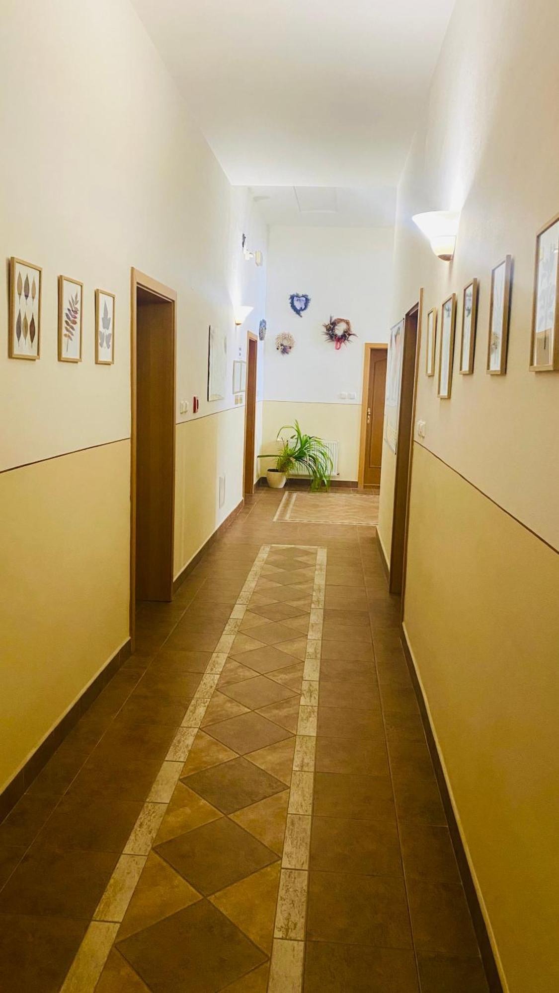 Penzion Cerny Kun Hradec Kralove Exterior photo